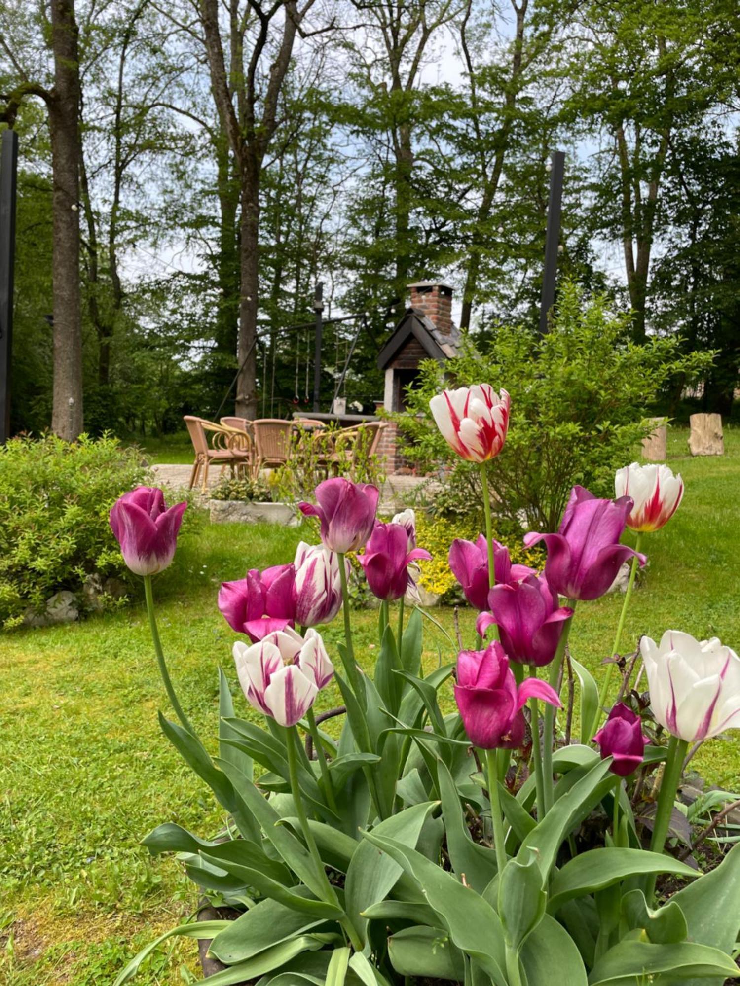 La Villa Emilie Durbuy Extérieur photo